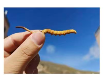 關於我們